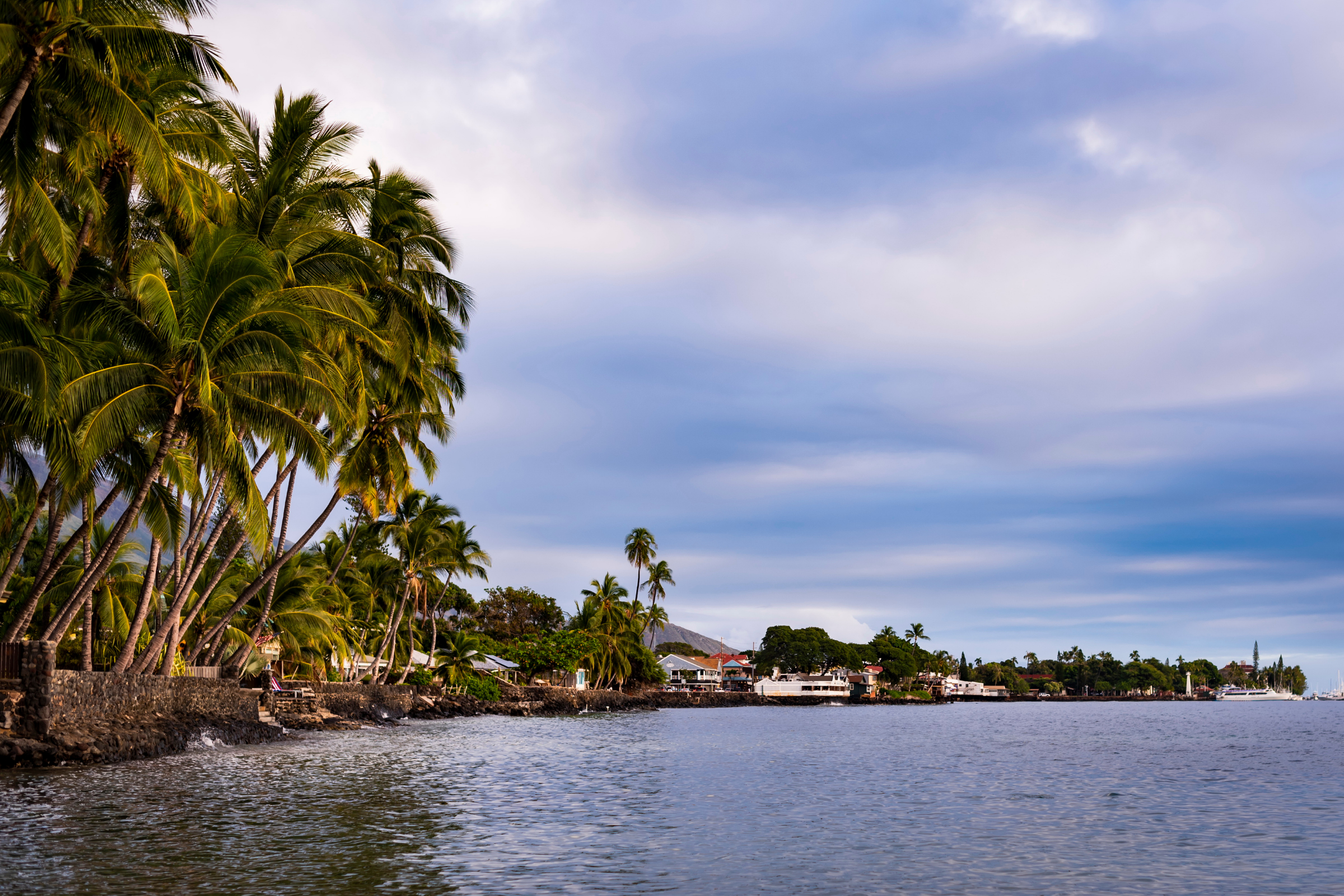 lahaina, hawaii (4).webp